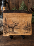 Moose Reflections